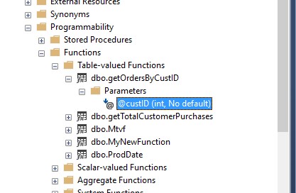 parameters of Function in object explorer