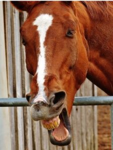 SQL Server UNION: Everything you need to know