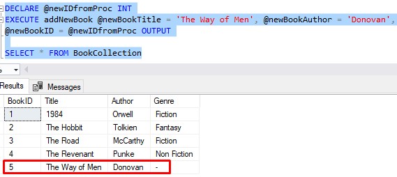 Stored procedure with parameters default value call