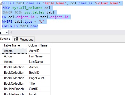 SQL Server find column name example query