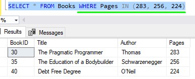 SQL Server IN clause using integers