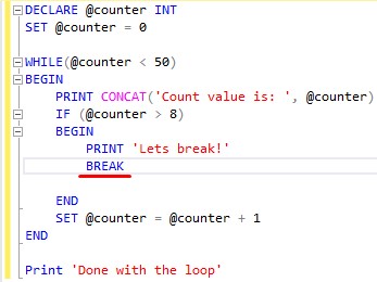 SQL Server WHILE loop example 3